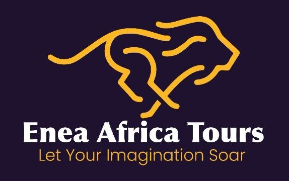 Enea Africa Tours
