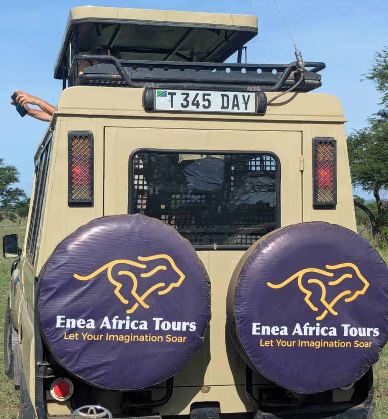 Enea Africa Tours